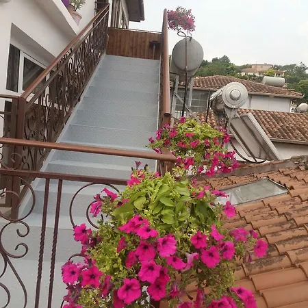 B&bsheshalliu 3*