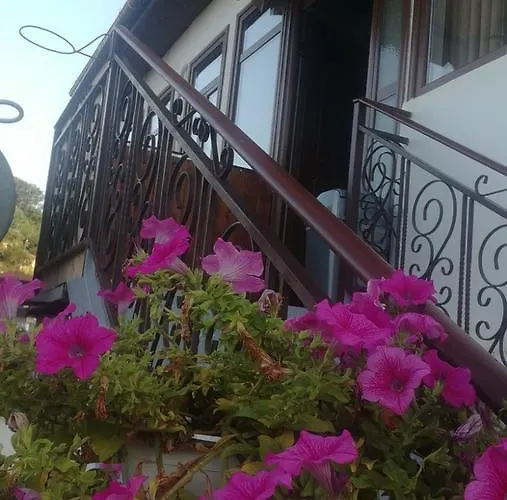 B&bsheshalliu Couette-café